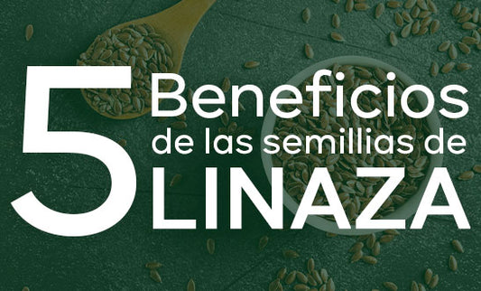 5 Grandiosos beneficios de las semillas de linaza.